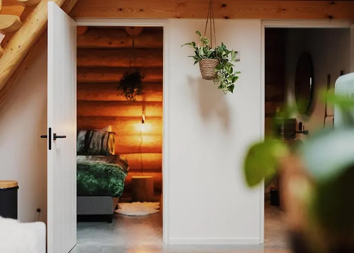 Dom wakacyjny De Stamboom *