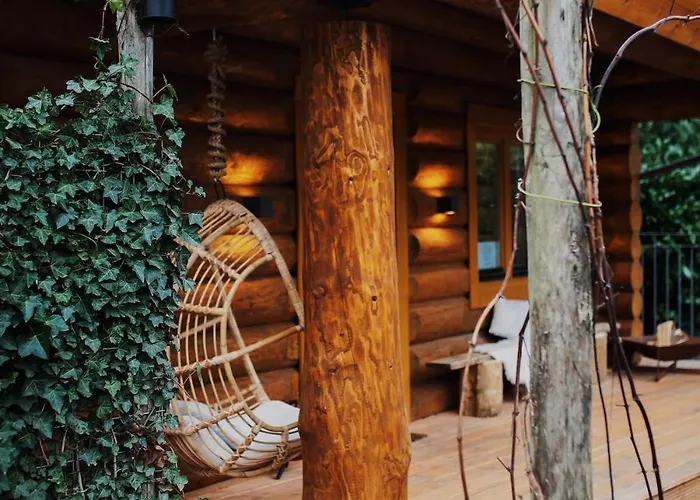 Dom wakacyjny De Stamboom